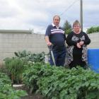 With so much extra time on his hands, former Alexandra Pie Cart owner Trevor Lyons' vegetable...