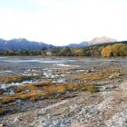 Low lake levels at Wanaka have exposed huge mudflats at Bremner Bay, as Central Otago's indian...