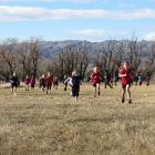 Years 1 and 2 girls race across a paddock in the Central Otago Small Schools Cross Country at...