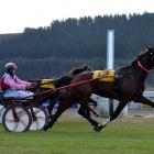 Zachary Binx flew over the last 200m to win the feature trot at Oamaru Racecourse yesterday....