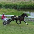 Zena's Art wins for Gavin Smith at Waikouaiti on Sunday. Photo by Tayler Strong.