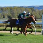 Dancing Dixie (near, ridden by Toni Direen) gallops past stablemate Extend to win the only...