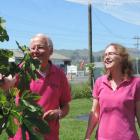 Murray Douglas and Helen Walker, of Te Mata Figs. Photo: Charmian Smith