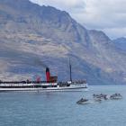 Real Journeys was one of several businesses and organisations, including the Queenstown Lakes...