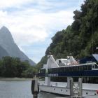 A tourist photographs Milford Sound earlier this year. Photo by Allison Beckham.