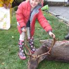 Charlotte McNeish (6), of The Knobbies, Teviot Valley, displays one of her dad, Cameron’s,...