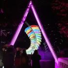 The LUMA bridge and Astral Fern installations in the Queenstown Gardens on Friday night. Photo by...