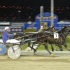 Washingtons Chance paces past Bullys Princess (inner) to win race 3 at Forbury Park last night....