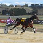 Westwood Beach trainer-driver Graeme Anderson guides Elusive Flight to victory in the opening...