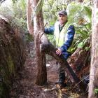 Forest and Bird South Otago committee member Jim Young works on the new Lenz Reserve walking...