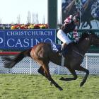 Gargamel and Alan Browne in winning form in the Grand National Hurdle at Riccarton two years ago....