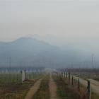 Rubbish being burnt on orchards adds to the smoky haze over Clyde. Photo by Mark Price.