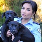 SPCA Otago inspector Sophia Tinirau in Dunedin yesterday holds two puppies that had been...