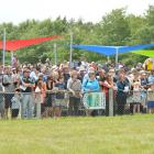 The crowd at the 2014 Omakau Races. Photo by Peter McIntosh.