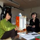 Auckland artist Xin Cheng and Dunedin Public Art Gallery curatorial intern Andrea Bell discuss...