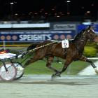 Gotta Del has moved north with trainer Tony Barron to a new base at West Melton, west of...