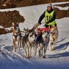 Kim Findlay, from Invercargill, races her six-dog team at the Wanaka Sled Dog Festival at the...