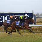 a Raise The Flag-Ya Ya gelding (ridden by Toni Direen) gets past a Raise The Flag-Curlu gelding...