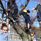 Alexandra Primary School pupil Jamie Knowles (9) dangles while (from left) James Gare (6,...