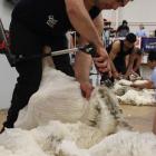 Mike Ferguson, of Alexandra, gives a ewe a short back and sides during the heats of the New...