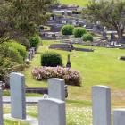 The unmarked mass grave at Andersons Bay Cemetery. Photo by Stephen Jaquiery.