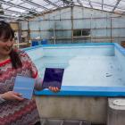 Clinton Community Pools chairwoman Lisa Anderson holds some of the tiles which will be sold to...