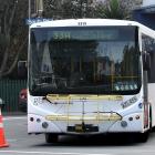 A Go Bus navigates the intersection of Playfair St and South Rd, where road cones were used to...