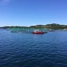A salmon farm in Norway (above) visited in June by Venture Southland enterprise and strategic...