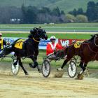 Franco Nelson, driven by John Dunn, beats Tiger Tara (Gerard O’Reilly) to win the Hannon Memorial...