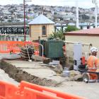 Oamaru blue penguins could be using New Zealand's first penguin underpass within three weeks as...