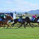 Passito (right, ridden by Kevin Kalychurun) beats Gallant Ruby (13), Tommy Tucker (12) and...