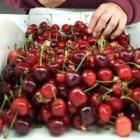 cherries.jpg