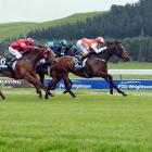 Gottagetmywoohoo finally breaks a two-year winning drought at Oamaru yesterday, courtesy of a...