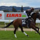 Little Haast should move out of the maiden grade pretty quickly. She starts her new campaign at...