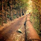 This photo of the Arrowtown pipeline (above) — taken on a smartphone — was judged People’s Choice...