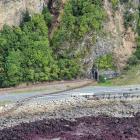 A railway line lies damaged on the road near Kaikoura. Photo: Reuters