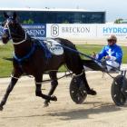 Classie Brigade continues his campaign in tomorrow’s Geraldine Cup at Orari. Photo: Matt Smith.