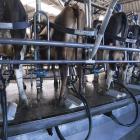 dairy_milkingshed.jpg