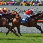 Samantha Wynne salutes aboard First Serve as she wins the group 3 Canterbury Breeders Stakes at...