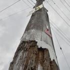 A pole like many causing public concern. Photo: ODT.