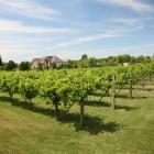 The Valentino Vineyards and Winery showcases American flavours in Long Grove, Illinois. PHOTO:...