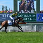 Jockey Michael Coleman punches the air in triumph as his mount, Ugo Foscolo, wins the New Zealand...