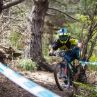Joe Nation weaves his way through the forest on his way to winning the Three Peaks Enduro race...