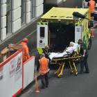 PHOTO: GREGOR RICHARDSON
