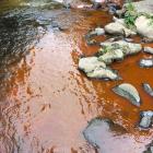 The Water of Leith ran orange over the weekend after pranksters dropped dye in it. Photo: Amelia...