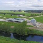 Four farms near Oamaru owned by one of New Zealand’s larger  dairy farming companies,  Borst...