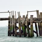 The Dunedin City Council-owned Aramoana wharf in Dunedin. Photo by Stephen Jaquiery.