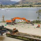 Contractors clear trees from the shores of Roys Bay to make way for a public pontoon jetty, just...