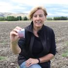 Wendy King is in the process of a large expansion at the Wynyard Estate saffron farm in the...