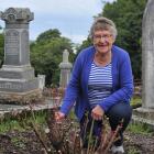 Heritage Roses Otago member Ann Williams shows a rose damaged by a mystery substance sprayed at...
